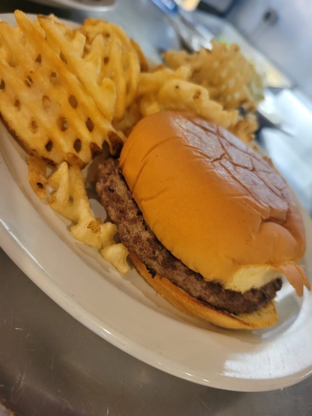 Kids Plain Cheese Burger.